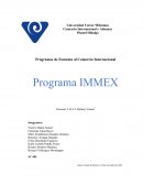 Exposicion sobre empresas immex