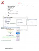 ESTRUCTURAS CICLICAS