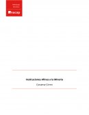 Instituciones Afines a la Minería