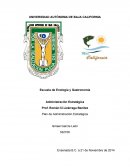 Plan de administracion estrategica. Mar California