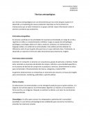 Técnicas antropológicas