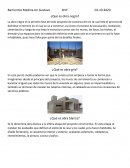 Obra Negra,blanca y gris