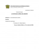 NATURALEZA JURIDICA DEL MUNICIPIO MEXICANO