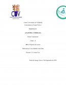 ANATOMIA Y FISIOLGIA