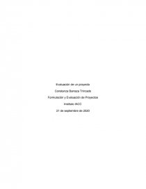 Formulación y Evaluación de Proyectos. Página 1