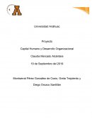 Proyecto Capital Humano y Desarrollo Organizacional