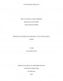 PROPUESTA DE DISEÑO DE EMPAQUE Y PLAN ESTRATÉGICO