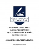 ORGANIZACIÓN DEL PODER EJECUTIVO