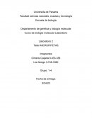 Laboratorio 2 Taller MICROPIPETAS