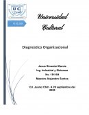 Ensayo Capitulo 1 Diagnostico Organizacional