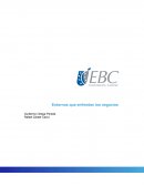 Entornos que enfrentan los negocios