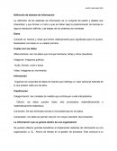 Definición de sistema de información