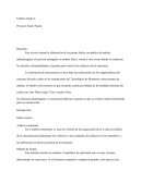 Estática Grupo 4 Proyecto Final: Puente