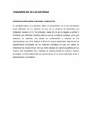 FUNDAMENTOS DE LOS SISTEMAS COMPLEJOS