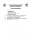 MODELO DE DECISIÓN ÉTICA DE THOMPSON