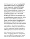 Producción de calor y cogeneración a partir de biomasa