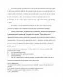 Ejemplifique las escalas o niveles de las competencias requeridas por una organización