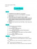 Castellano 4to año