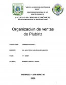 CASO PLUBIZ - ESTRUCTURA ORGANICA . ADMINISTRACION
