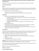 Resumen historia imperialismo