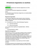 Feminismo Hegemonico