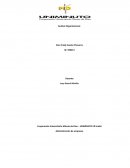 Analisis del direccionamiento empresa Portur S.A.S