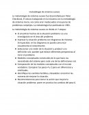 Metodología de sistemas suaves