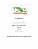 Proyecto de ecologia