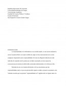 Trabajo Teorico Derecho Penal