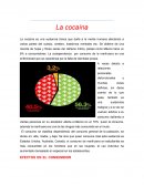 La cocaína, efectos en el consumidor