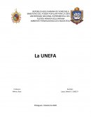 La unefa