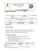 MANUAL DE PRÁCTICAS Juego