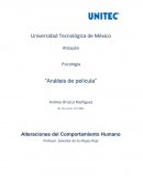 Análisis película pelotón
