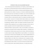 La Huella de Carbono como una oportunidad empresarial