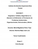 Calidad y Seguridad en la Atención en Enfermería, la Priorización de Problemas Asistenciales, Organizacionales, Estructurales y Mixtos