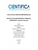 ARÁNDANOS - Empresa Camposol