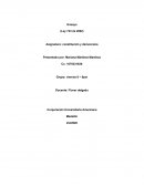 ENSAYO CONTITUCION Y DEMOCRACIA