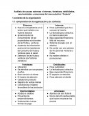Análisis de causas externas e internas, fortalezas, debilidades, oportunidades y amenazas del caso práctico “frutería”