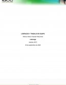 LIDERAZGO Y TRABAJO EN EQUIPO
