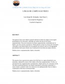 LINEAS DE CAMPO MAGNETICO