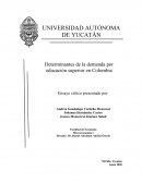 Análisis de los determinantes de la demanda por educación superior en Colombia