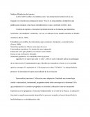 Modelos Metafóricos del Maestro