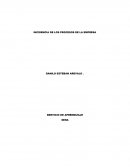 INCIDENCIA DE LOS PROCESSO EN LA EMPRESA