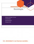 Socilologia. Seguridad pública