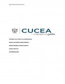 Control de lectura de “La Democracia”