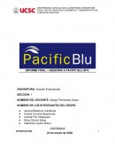 INFORME FINAL – ASESORIA A PACIFIC BLU SPA