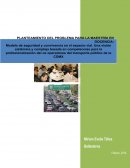 UNA VISIÓN SISTÉMICA PARA LA PROFESIONALIZACIÓN DE LOS OPERADORES DEL TRANSPORTE PÚBLICO CONCESIONADO DE LA CIUDAD DE MÉXICO