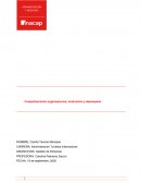 Comportamiento organizacional, motivación y desempeño