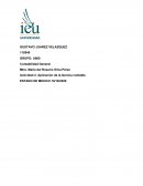 Actividad 2. Aplicación de la técnica contable