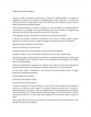PRINCIPIOS CONSTITUCIONALES